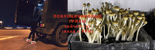первитин Верхний Тагил