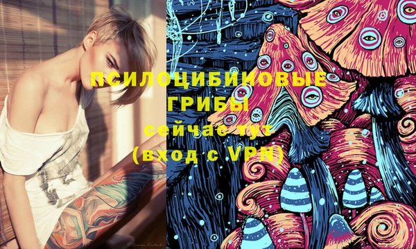 первитин Верхний Тагил