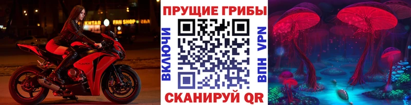 Псилоцибиновые грибы ЛСД  маркетплейс телеграм  Павловск 